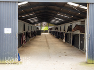 EL160424-160 - Emma Lavelle stable visit